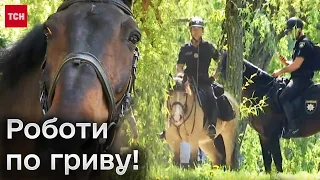 🏇 Патрулюють, наздоганяють злодіїв і беруть ”хабарі” смаколиками. У Києві запрацював кінний патруль