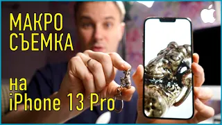 iPhone 13 Pro: Как снимать макросъемку