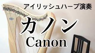 【アイリッシュハープ演奏】パッヘルベルのカノン/Canon in D/Pachelbel/harp