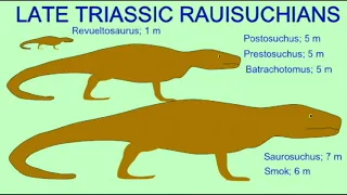 THE CLASSIFICATION OF REPTILES