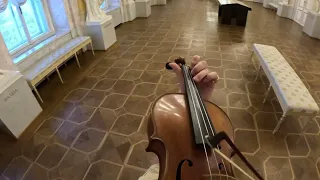 Carol of the bells - Violin Cover