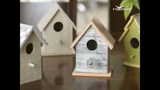 Как привлечь полезных птиц в сад