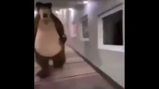 Bear chasing person down hall meme