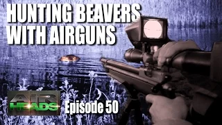 Hunting Beavers with Airguns - AirHeads, episode 50