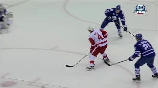 15/16 RS: Det @ Tor Highlights - 11/6/15