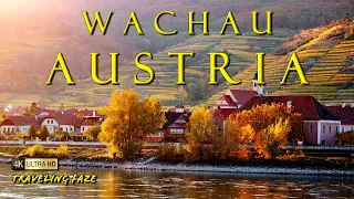 Wachau Valley, Lower AUSTRIA - The Prettiest Place on Earth!! [4K]
