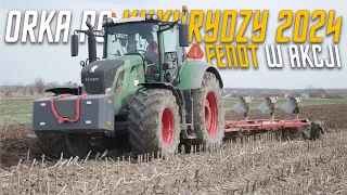 🇵🇱 ☆ Oporowa Orka w GR Zabrocki 🇵🇱 ☆ Fendt 826 Profi w akcji?! ☆ TheMikiTeam ☆ Vixa ☆