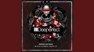 Black Flowers Crash (James Dexter Remix)