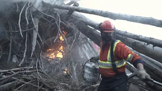 Slash Pile Burning Explained - One Million Trees B Sides