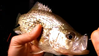 Is This The Best Crappie Catch, Clean, And Cook Ever?