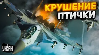 В РФ снова птичкопад. Истребитель рухнул прямо на глазах россиян. Появилось видео