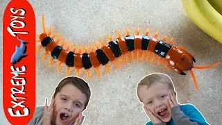 Sinister Centipede Toy Insect Terror! Giant Bug Toy Chases Ethan and Cole.