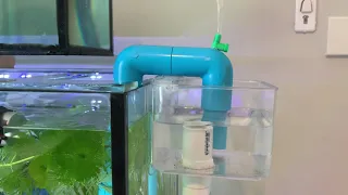 Two Tanks One Pump (DIY fail-safe aquarium overflow system)