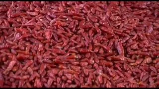 Drying and storing chillies (Summary)