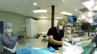 TVAPL Surgery Process Simulation