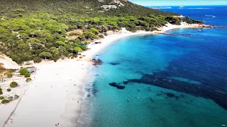 Palombaggia Beach 🏝️ Caribbean style beach paradise in Corsica