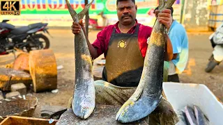 KASIMEDU 🔥 SPEED SELVAM | BIG MAHI MAHI FISH CUTTING | IN KASIMEDU | 4K VIDEO | FF CUTTING 🔪