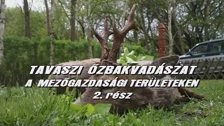 Tavaszi őzbakvadászat 2.rész Trailer