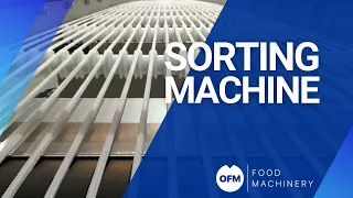 GRADING machine | Máquina CALIBRADORA