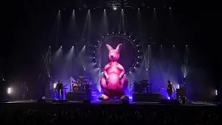 One Of These Days - PINK FLOYD Cover by THE AUSTRALIAN PINK FLOYD SHOW - Live 2024