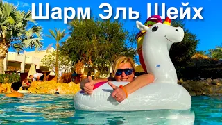 Египет 🇪🇬 . Утепляемся в Египте. Теплый бассейн в  Ghazala Garden 4* Шарм Эль Шейх🇪🇬. Наама Бей.