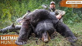 Covered Up in Bears! Bow Hunting Giant Black Bears