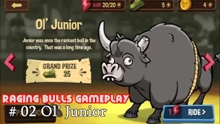 Raging Bulls # 02 Ol' Junior