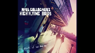 Don't Look Back In Anger-Noel Gallagher's High Flying Birds (Live Argentina 2017)