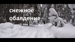 СНЕЖНЫЕ ВПЕЧАТЛЕНИЯ. СОЛО ПОХОД на ЛЫЖАХ. КОМАРОВО ЩУЧЬЕ ОЗЕРО #124