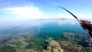 SAKING JERNIHNYA AIR KELIHATAN JELAS SAAT IKAN MEMAKAN UMPAN !!! MANCING NGOYOR KARANG DANGKAL