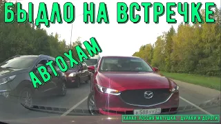 Dangerous driving and conflicts on the road #160! Instant Karma! Compilation on dashcam!