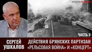 Сергей Ушкалов. Действия брянских партизан в ходе операций "Рельсовая война" и "Концерт". Часть 3