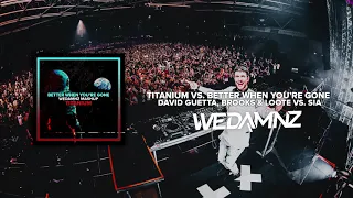 David Guetta, Brooks & Loote vs. Sia - Titanium vs. Better When You're Gone (WeDamnz Mashup)