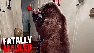 These 3 People Were FATALLY Mauled After Bears INVADE Home!