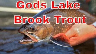 BIG Brook Trout of Gods Lake