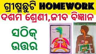 Class 10 Life Science / Summer Vacation Holiday Homework 2024