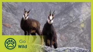 High Tatras - A Wilderness Frozen in Time - Go Wild