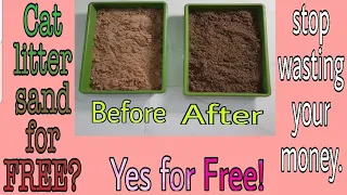 CHEAPEST ALTERNATIVE CAT LITTER SAND.