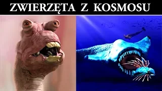 Zwierzęta z Kosmosu - Jak Mogą Wyglądać?