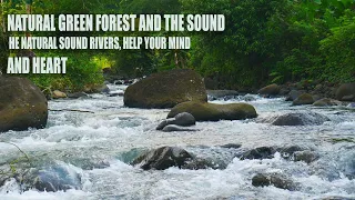 NATURAL GREEN FOREST AND THE SOUND HE NATURAL SOUND RIVERS, HELP YOUR MIND AND HEART  #asmr #nature