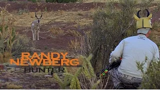 Hunting New Mexico Archery Antelope with Randy Newberg and Bryce DeForest (OYOA S4 E2)
