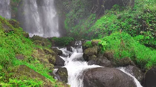 Goodbye Tedium with Nature Sounds Forest Waterfall, sleep sounds, water sounds, asmr water sounds