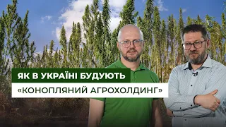 Як в Україні відроджують переробку технічної коноплі | Latifundist