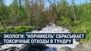 “Норникель” сбросил токсичные отходы в тундру | НОВОСТИ | 28.06.20