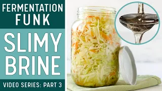 SLIMY BRINE in FERMENTED VEGETABLES  - (What causes it?) The answer is surprising!