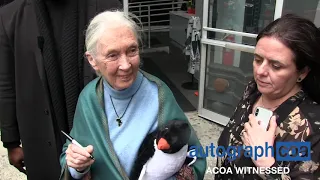 Jane Goodall ACOA Witnessed by AutographCOA Authentication