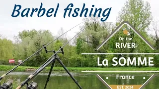 Barbel fishing on the river SOMME France