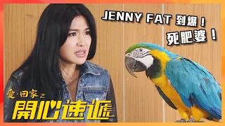 愛回家之開心速遞｜廢柴老公重振雄風趕走Fat爆Jenny?!