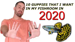 10 GUPPY STRAINS I WANT IN MY FISH ROOM IN 2020