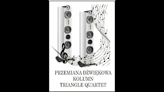 Przemiana dźwiękowa kolumn Triangle Quartet - cz. 1/3 [Wilk-Audio-Projekt]